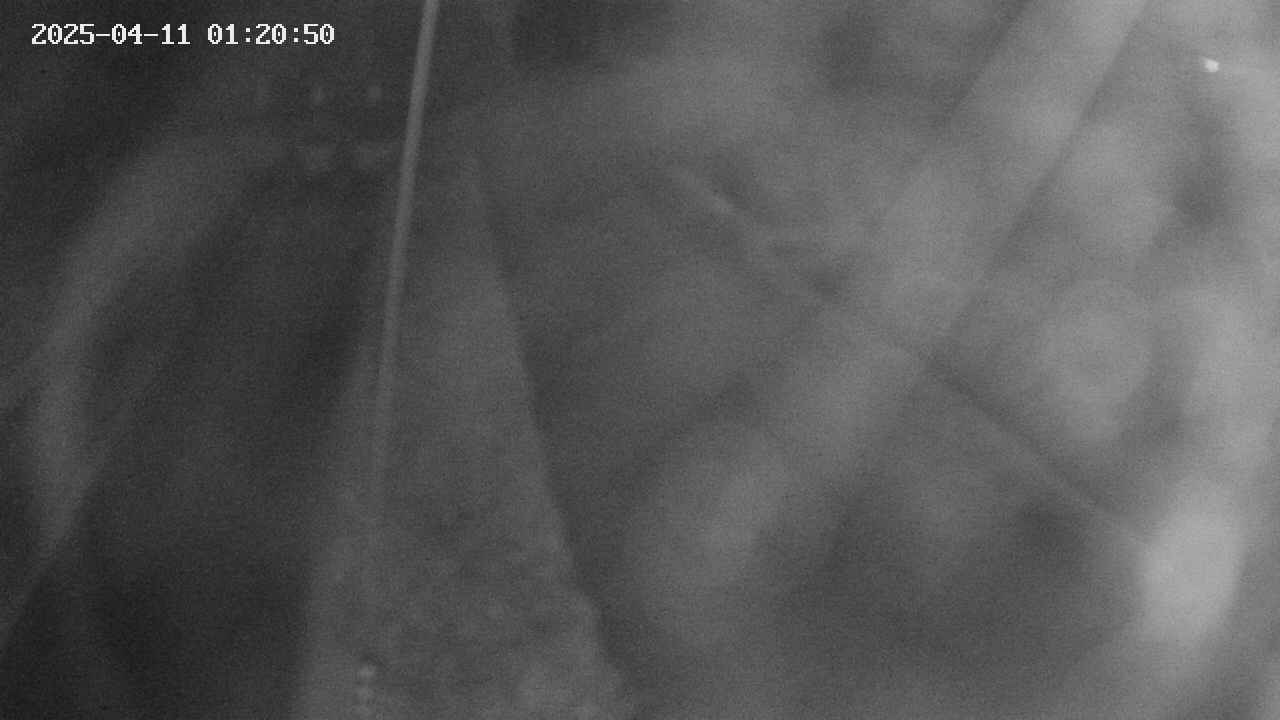area11-20250411012051.jpg