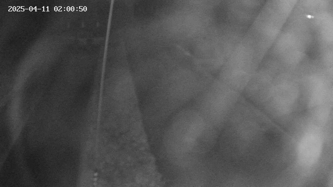 area11-20250411020051.jpg