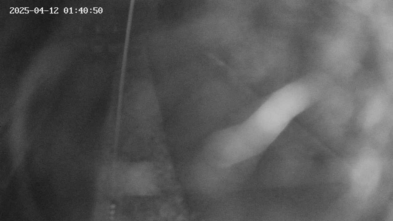 area11-20250412014052.jpg