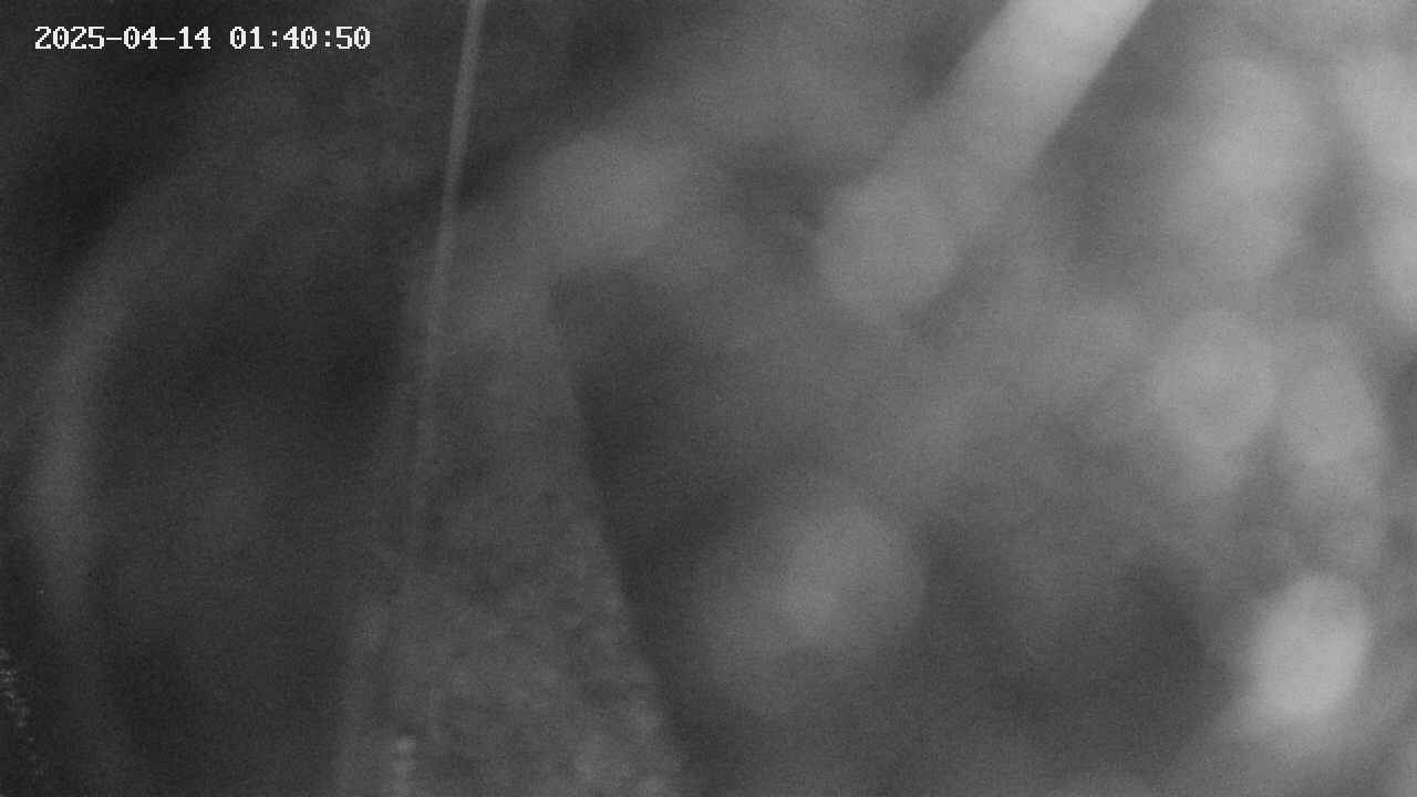 area11-20250414014052.jpg