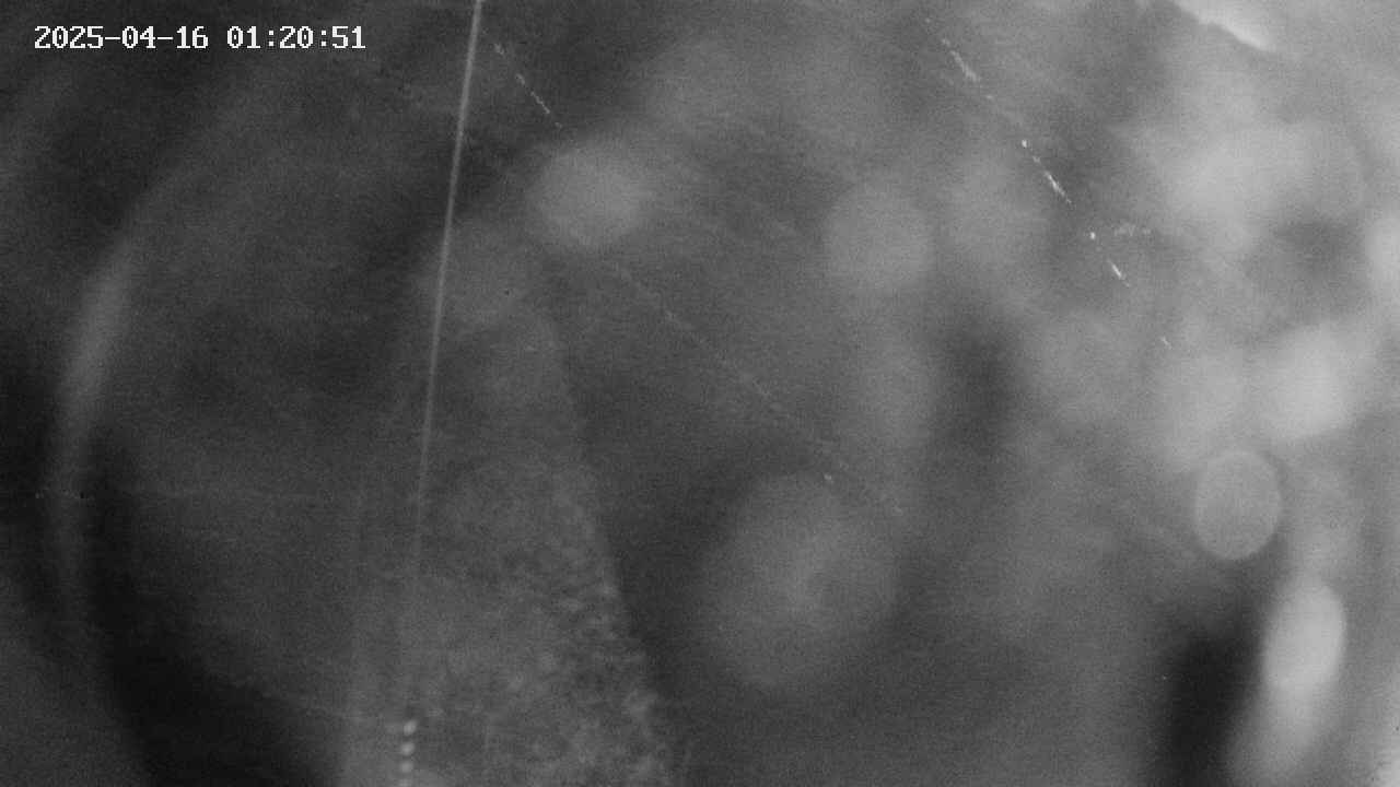 area11-20250416012052.jpg