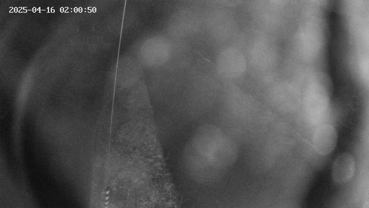 area11-20250416020051.jpg