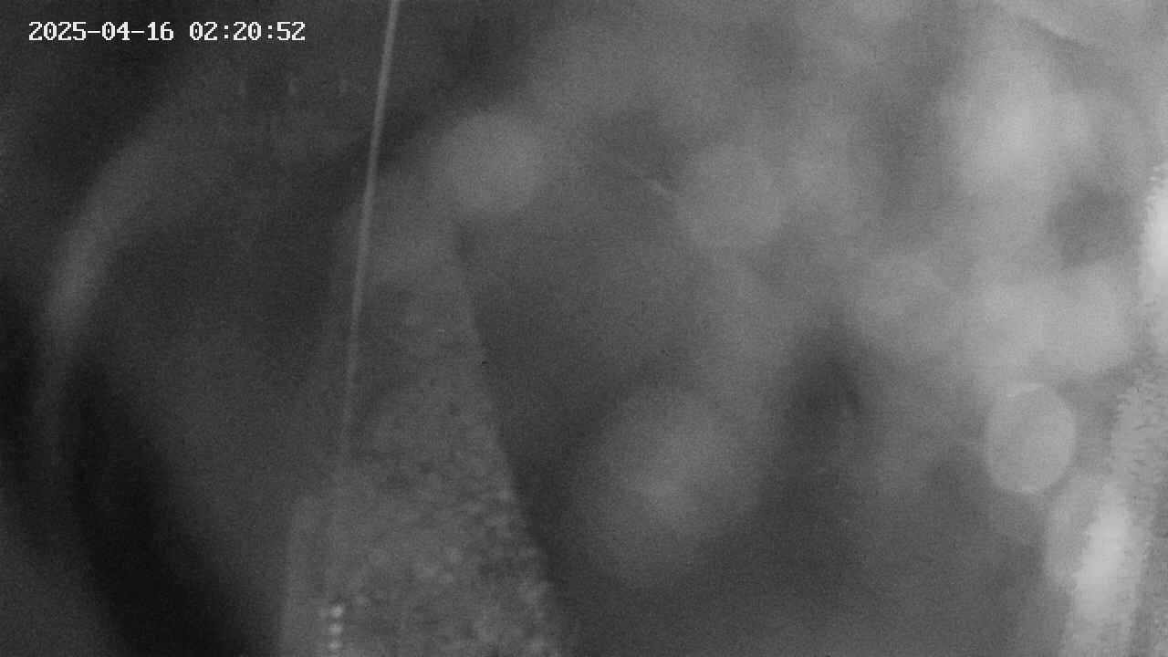 area11-20250416022053.jpg