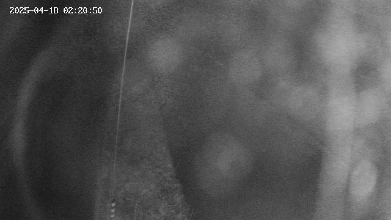 area11-20250418022051.jpg
