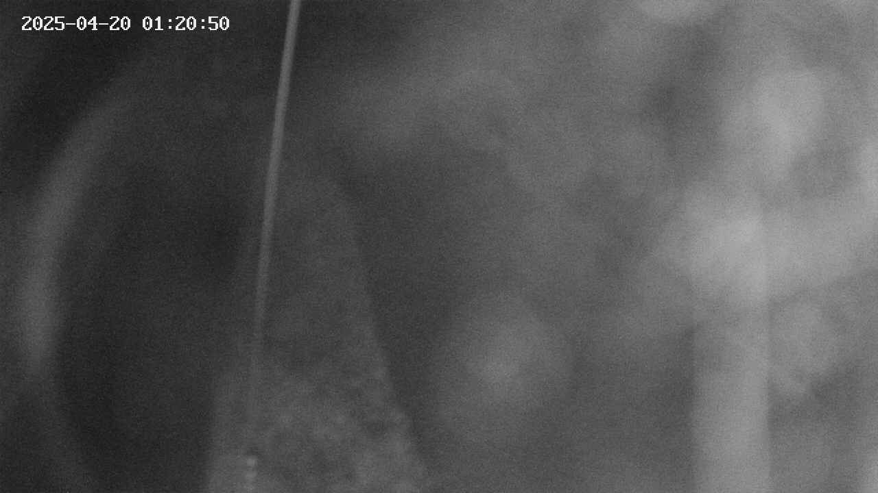 area11-20250420012051.jpg