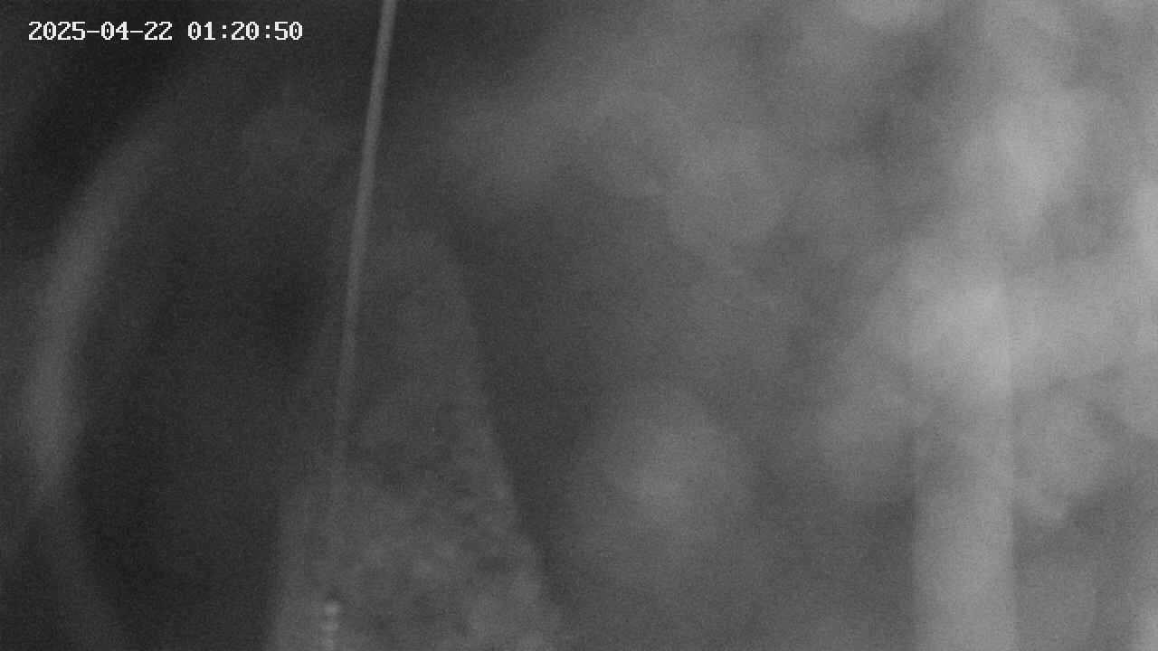 area11-20250422012051.jpg