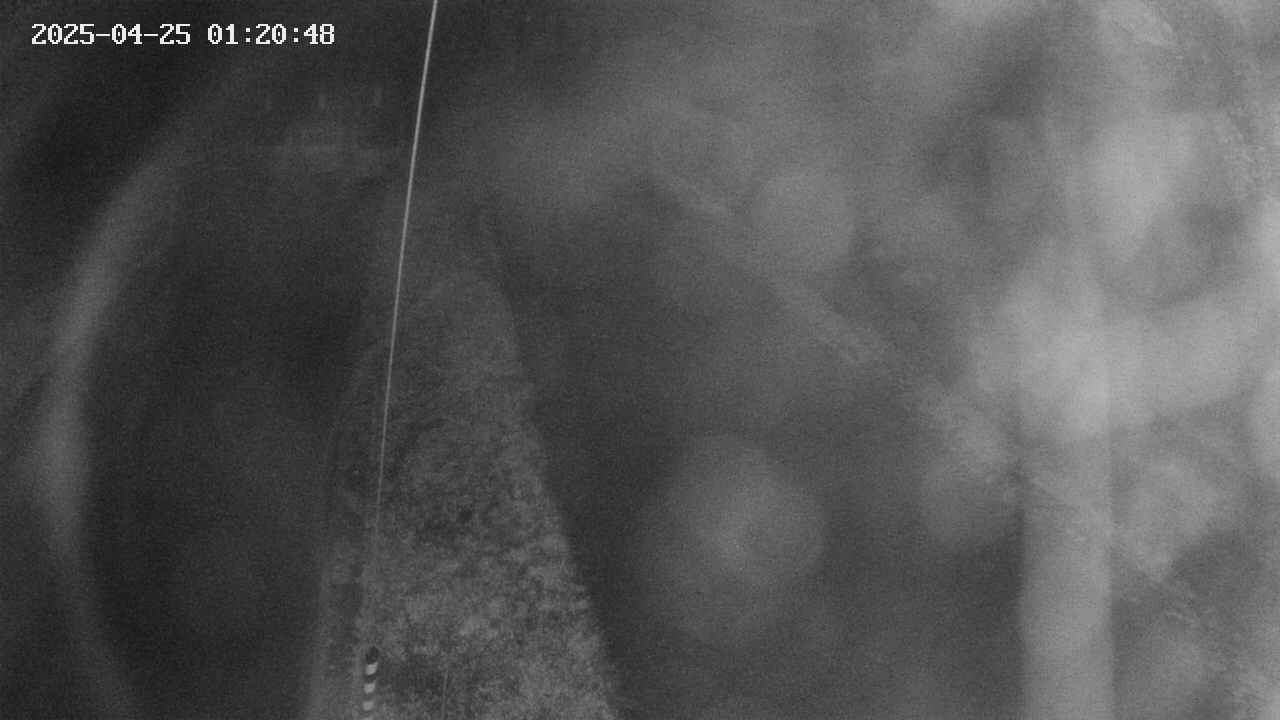area11-20250425012050.jpg