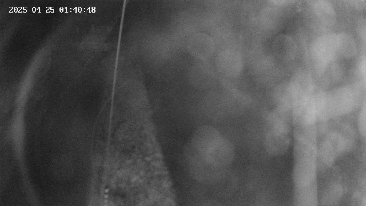 area11-20250425014049.jpg