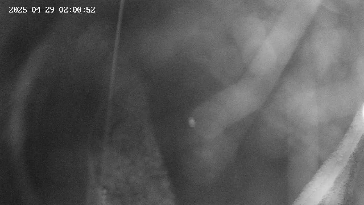area11-20250429020053.jpg