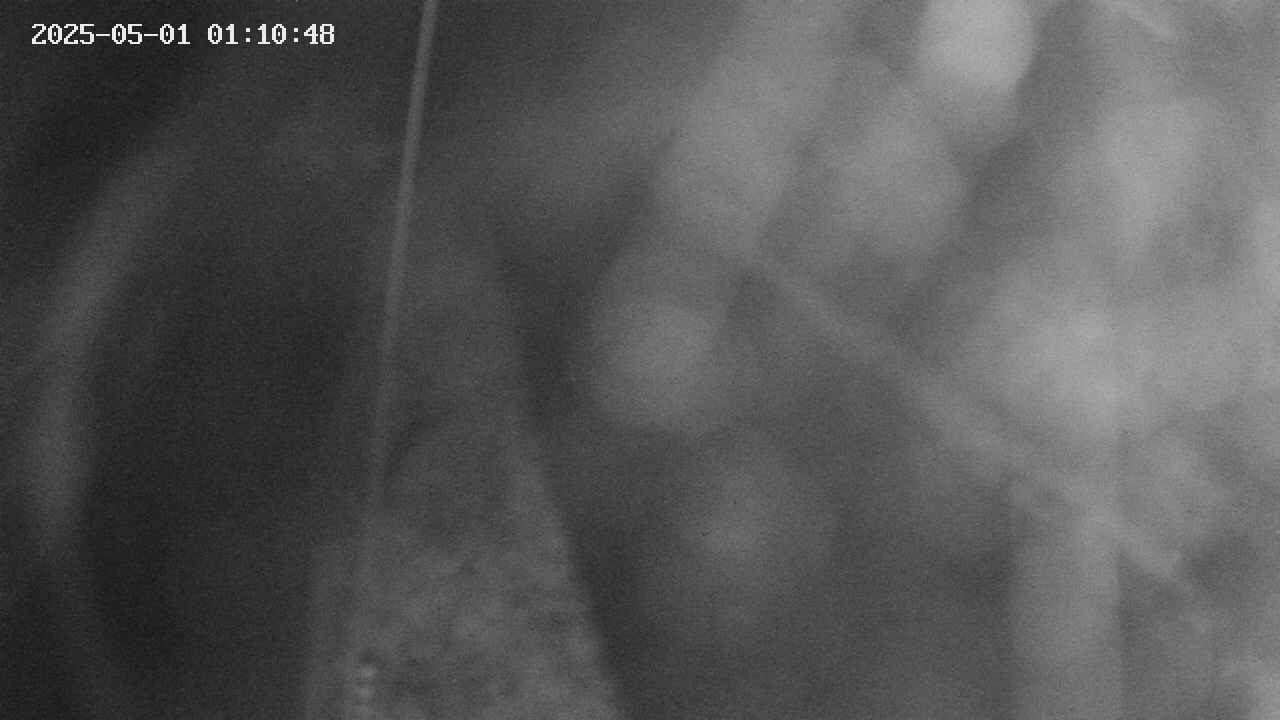 area11-20250501011049.jpg