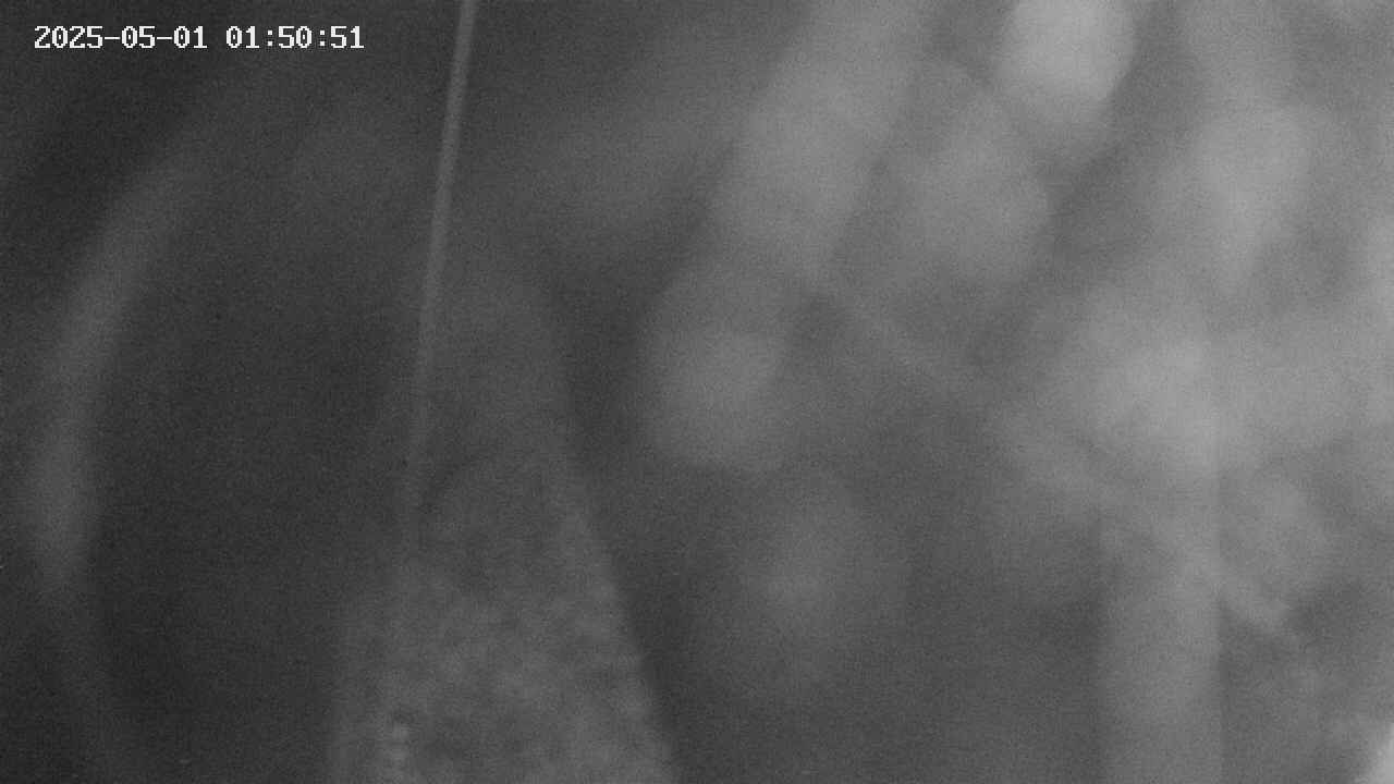 area11-20250501015052.jpg