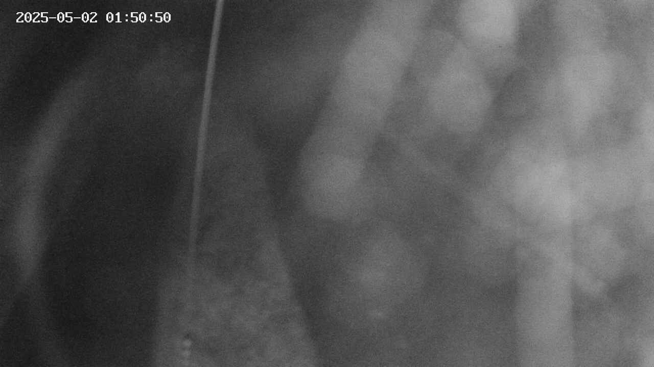area11-20250502015051.jpg