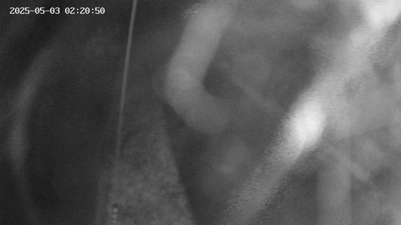 area11-20250503022051.jpg