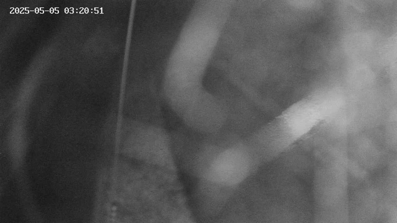 area11-20250505032051.jpg