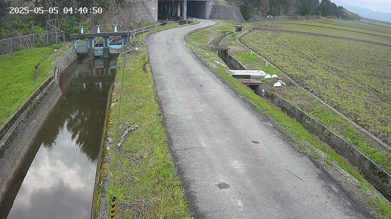 area11-20250505044051.jpg