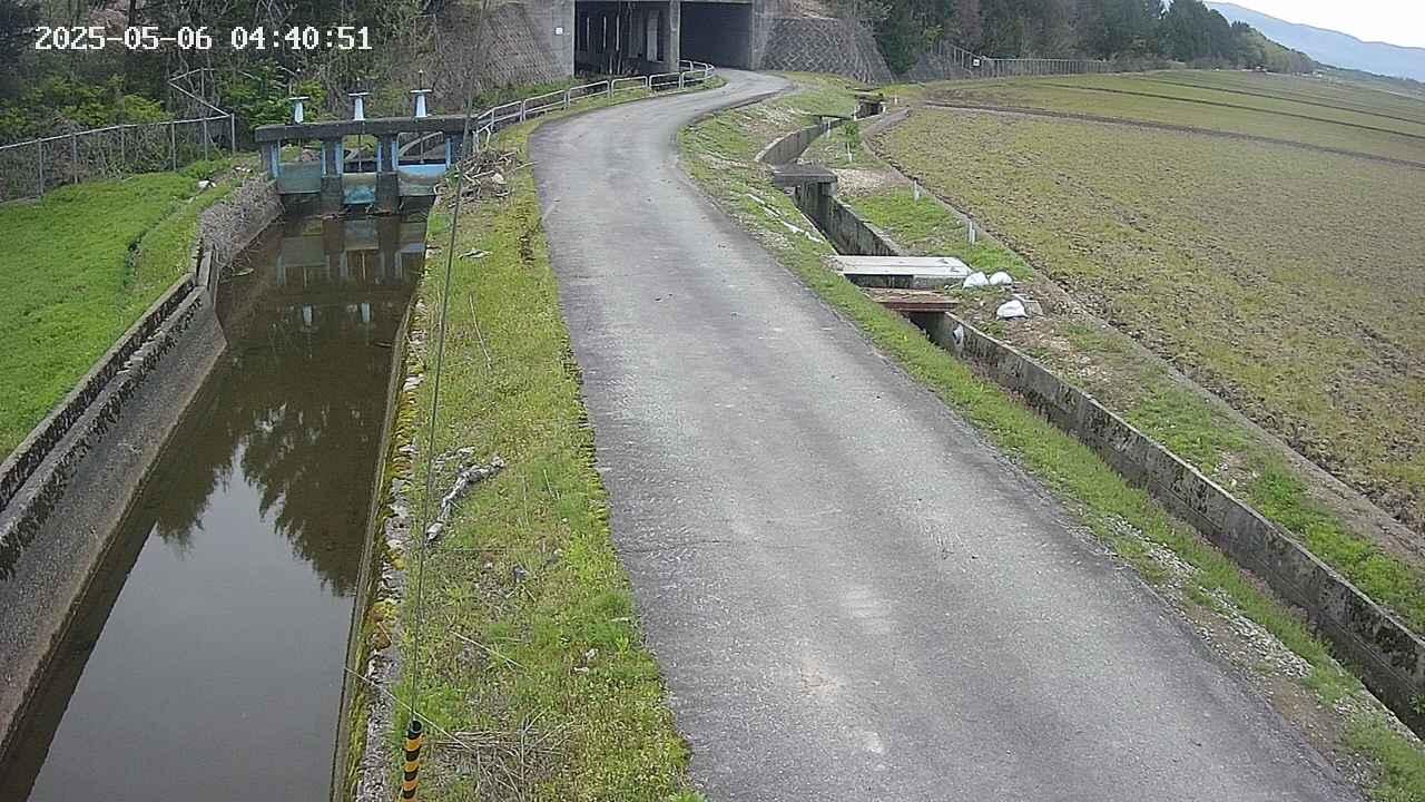 area11-20250506044051.jpg