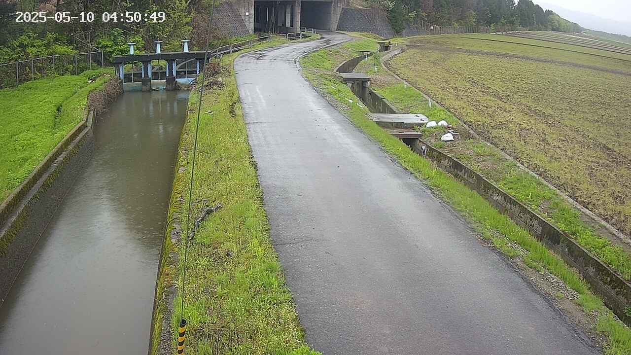 area11-20250510045051.jpg