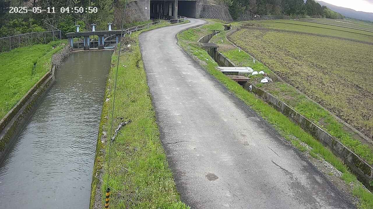 area11-20250511045052.jpg