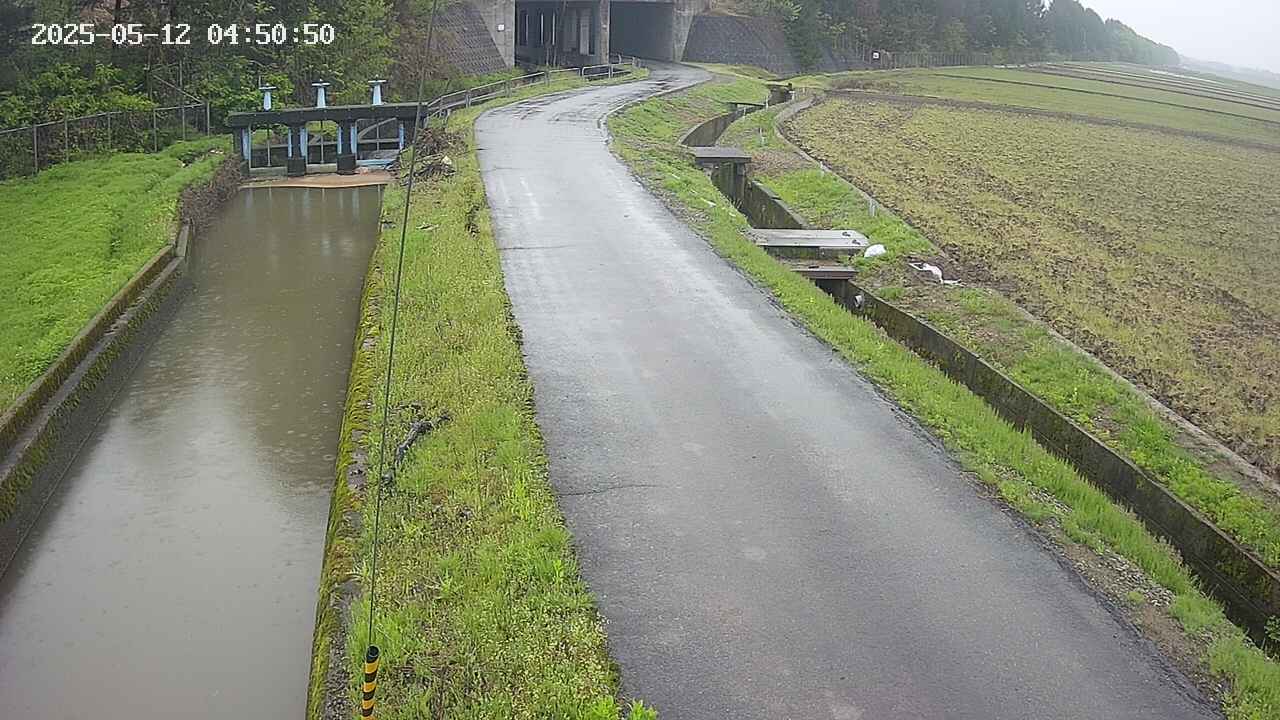 area11-20250512045052.jpg