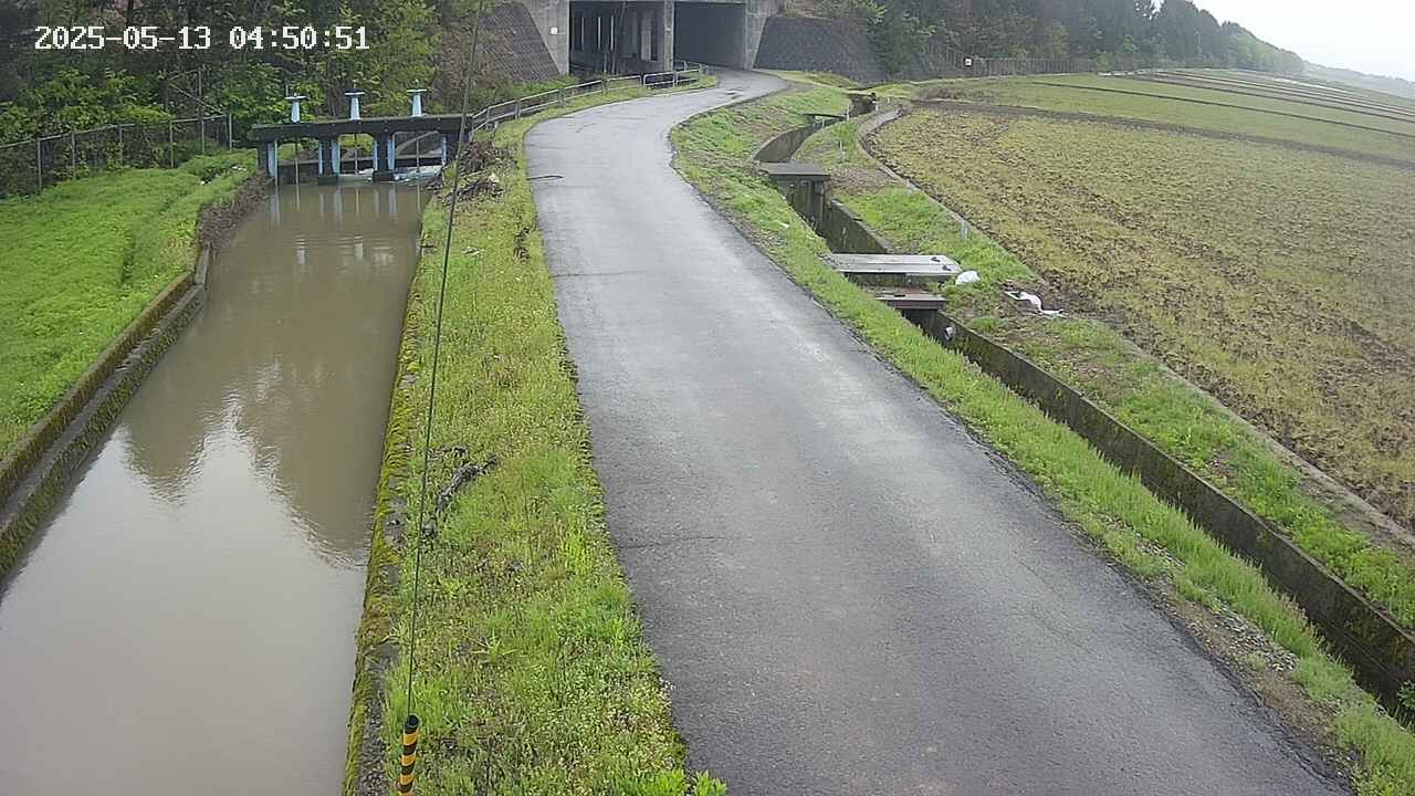 area11-20250513045053.jpg