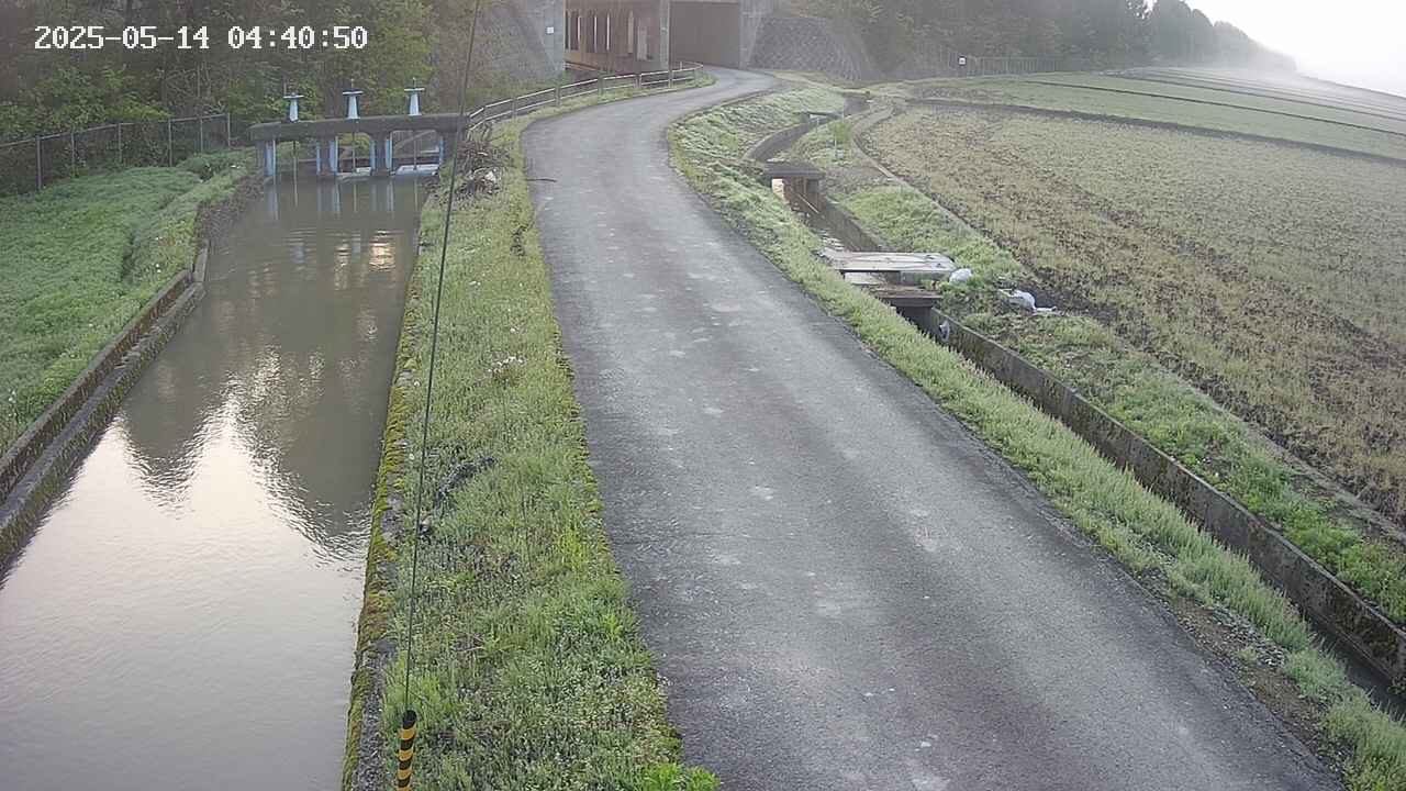 area11-20250514044051.jpg