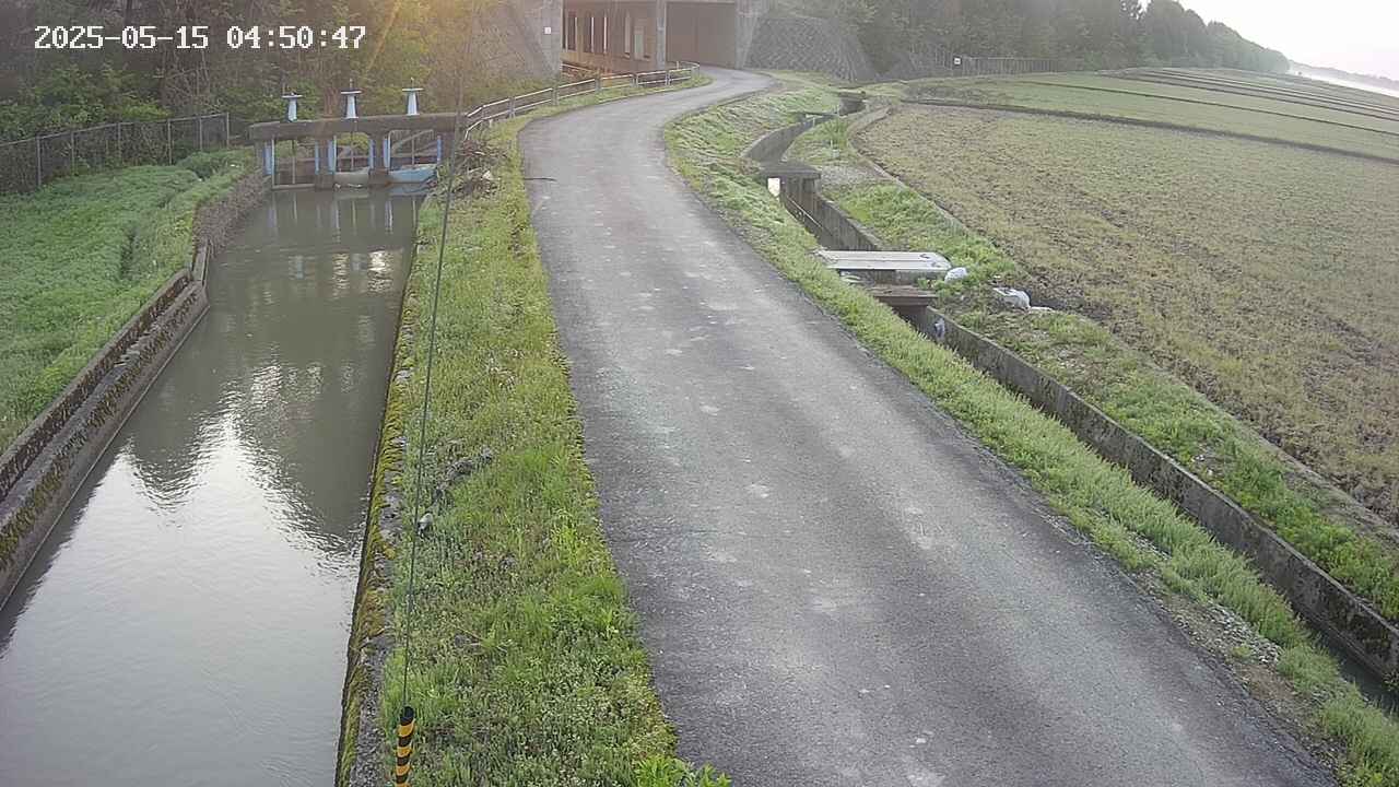 area11-20250515045050.jpg