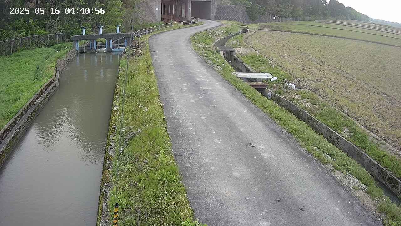 area11-20250516044057.jpg