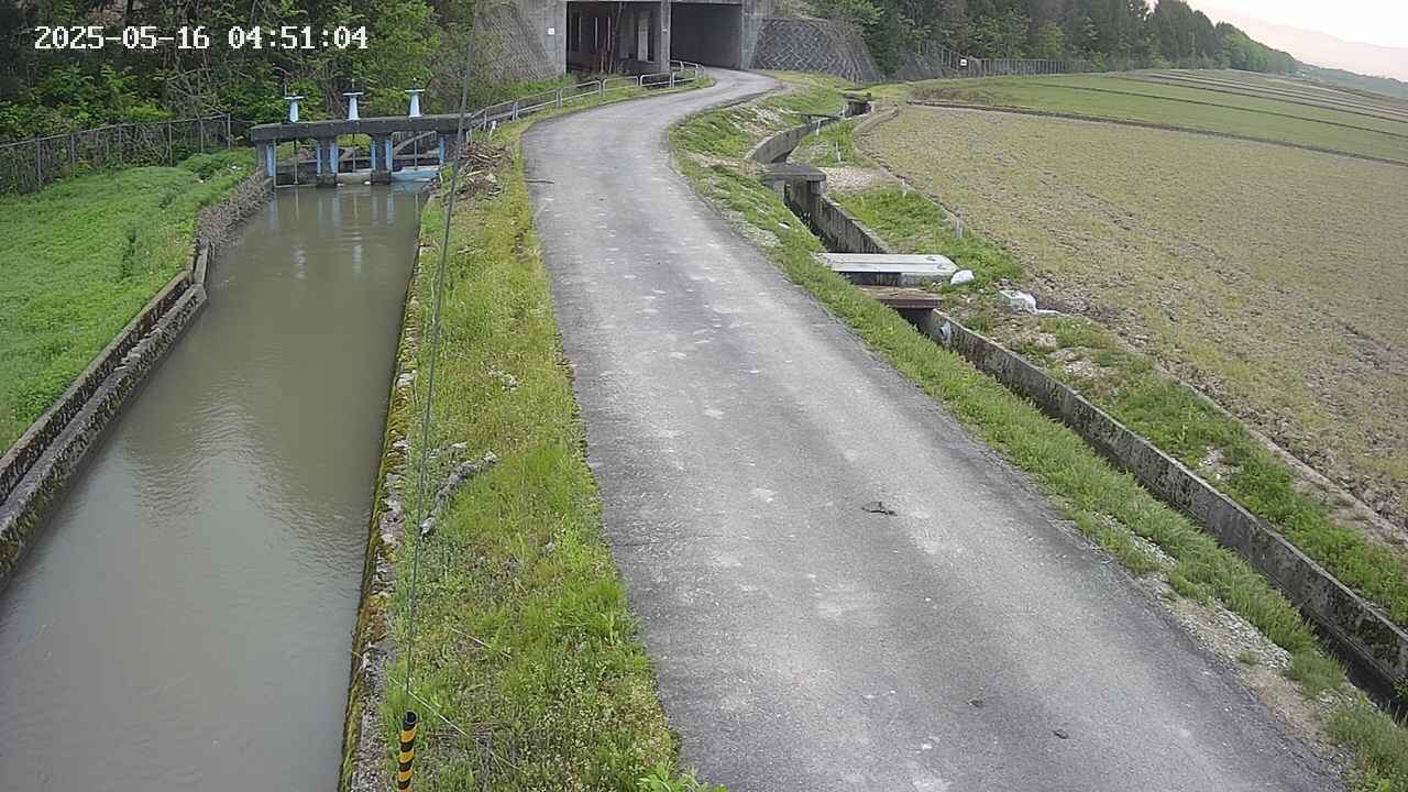 area11-20250516045105.jpg