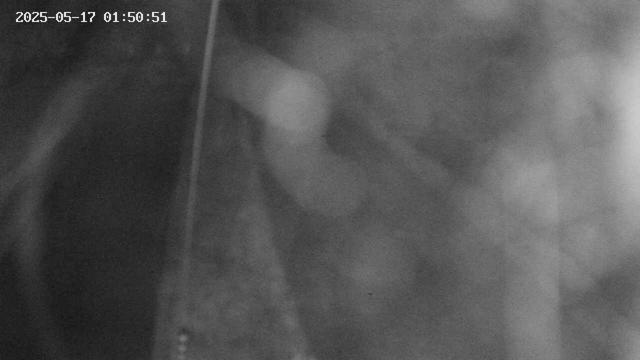 area11-20250517015053.jpg