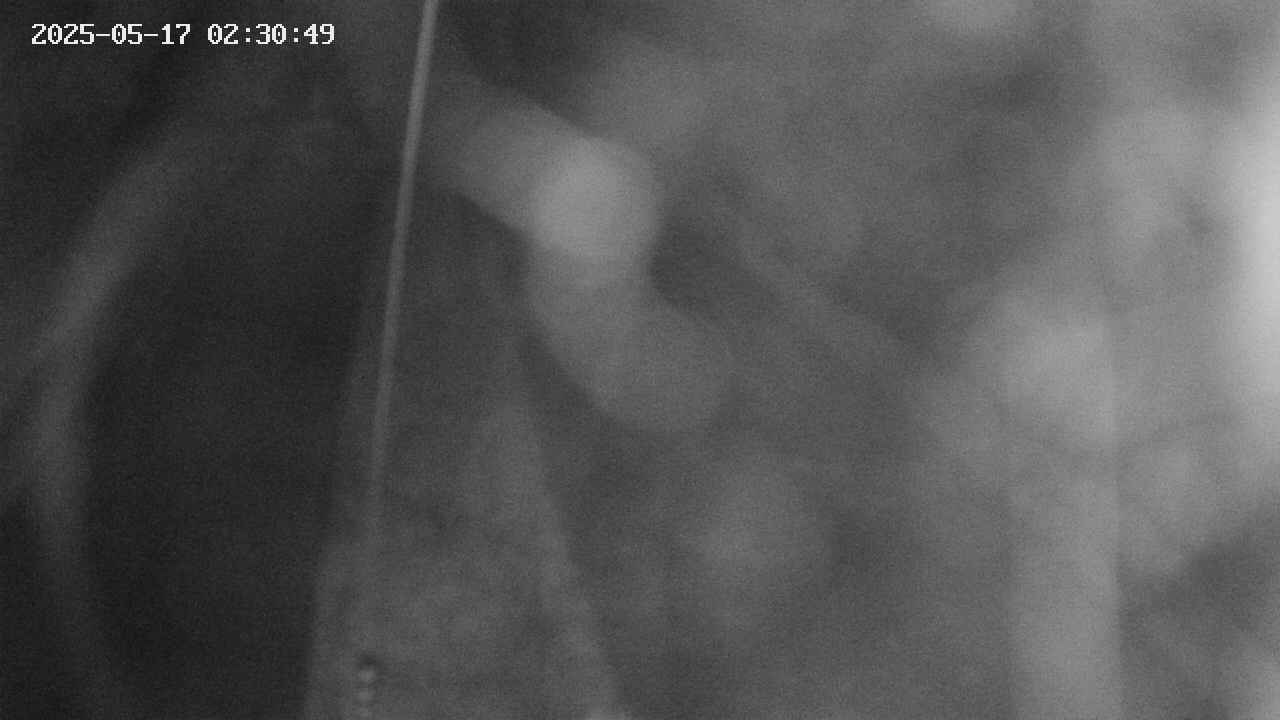 area11-20250517023050.jpg