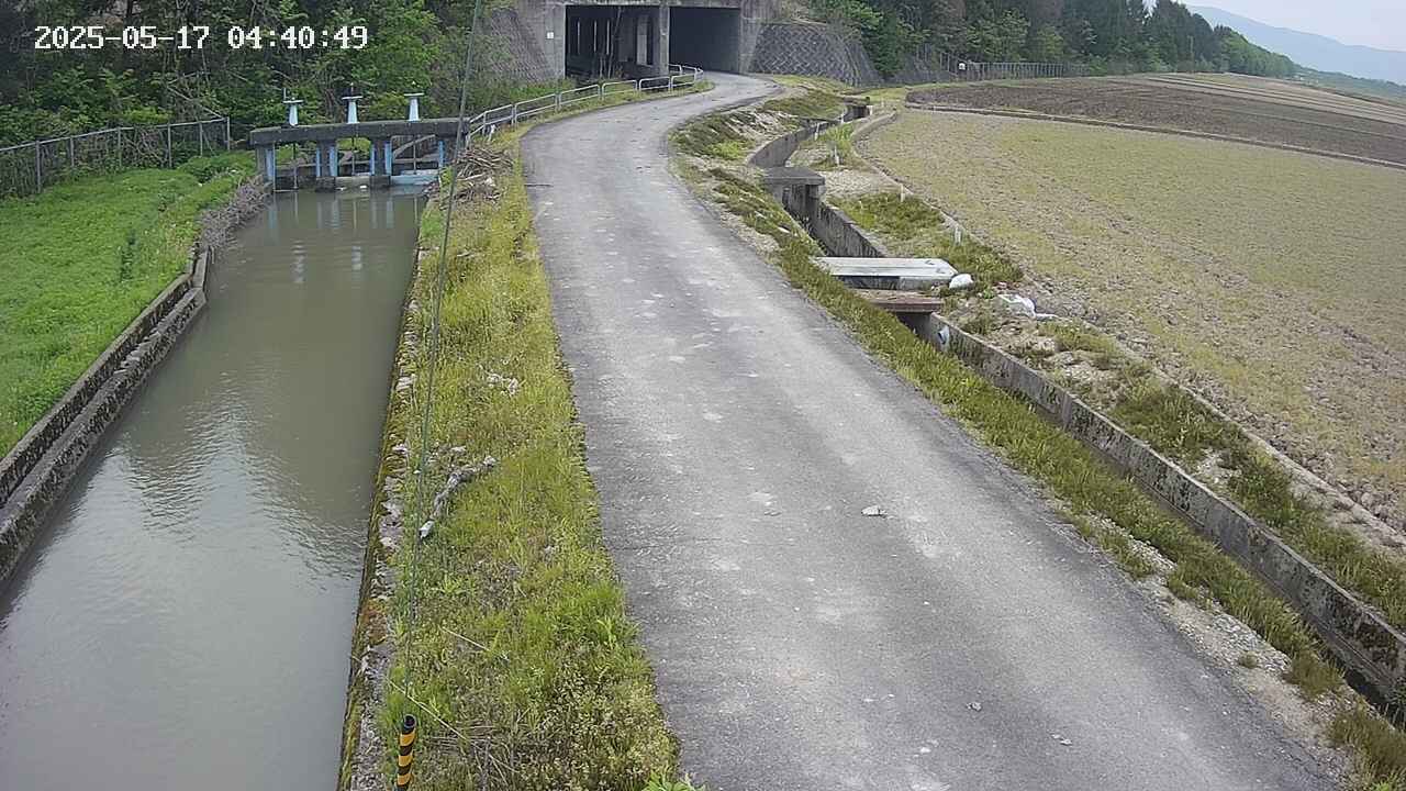 area11-20250517044051.jpg