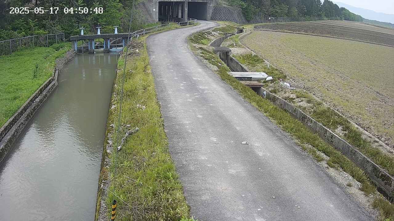 area11-20250517045050.jpg