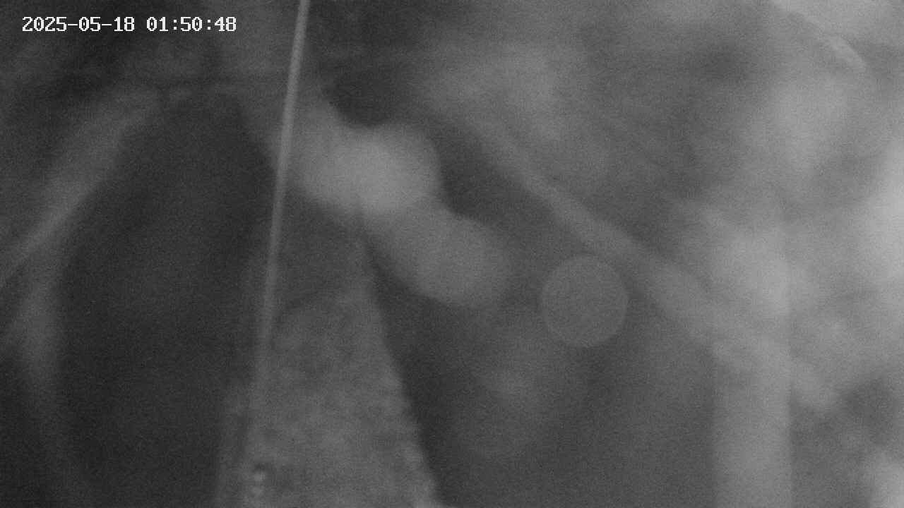area11-20250518015050.jpg