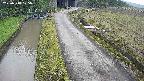 area11-20250518075053.jpg