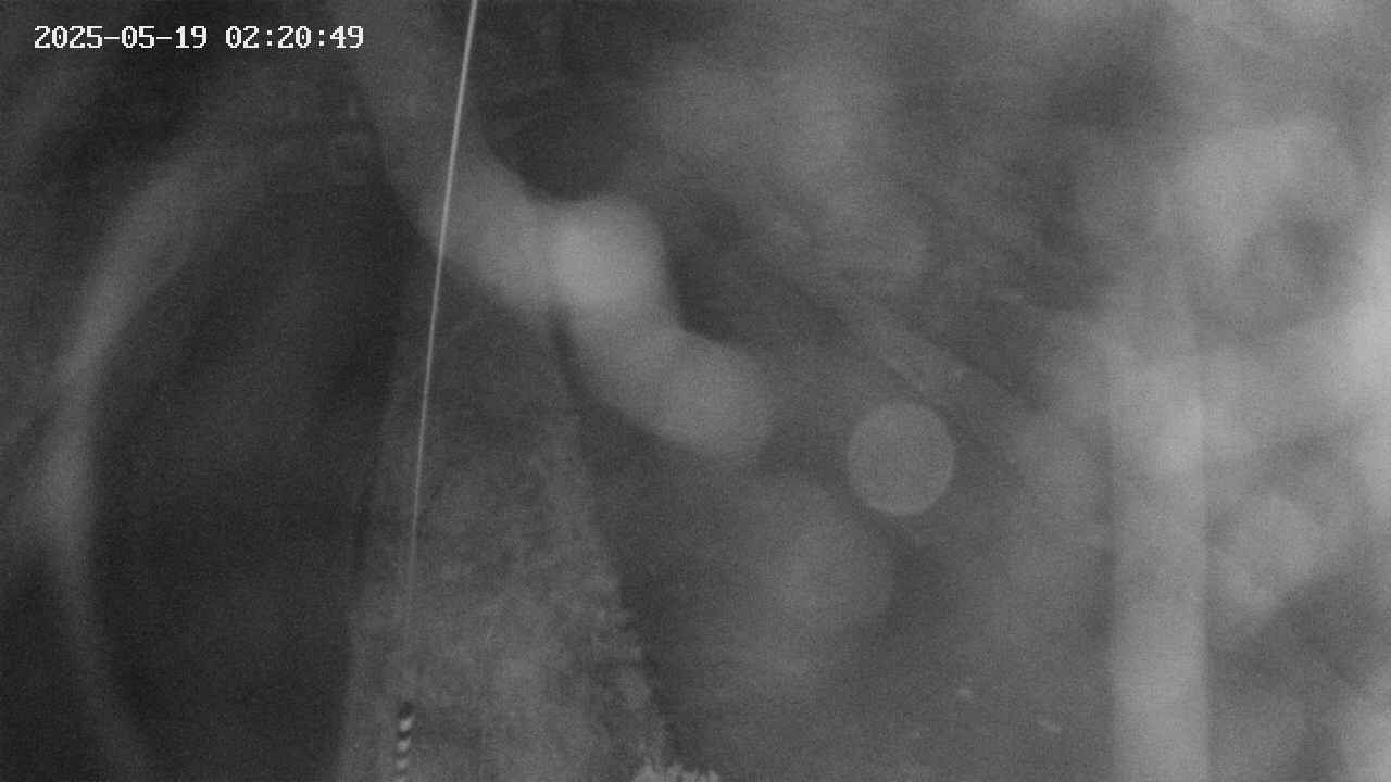 area11-20250519022050.jpg