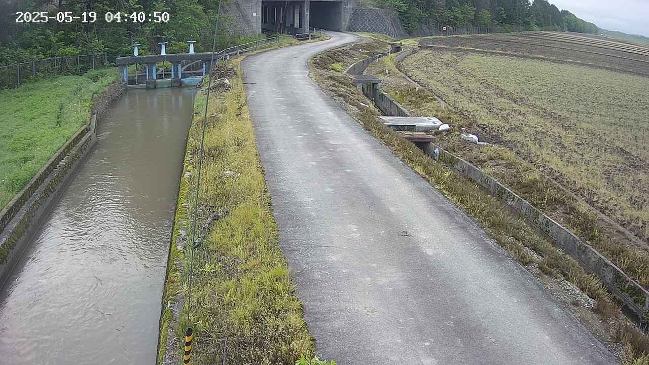 area11-20250519044051.jpg