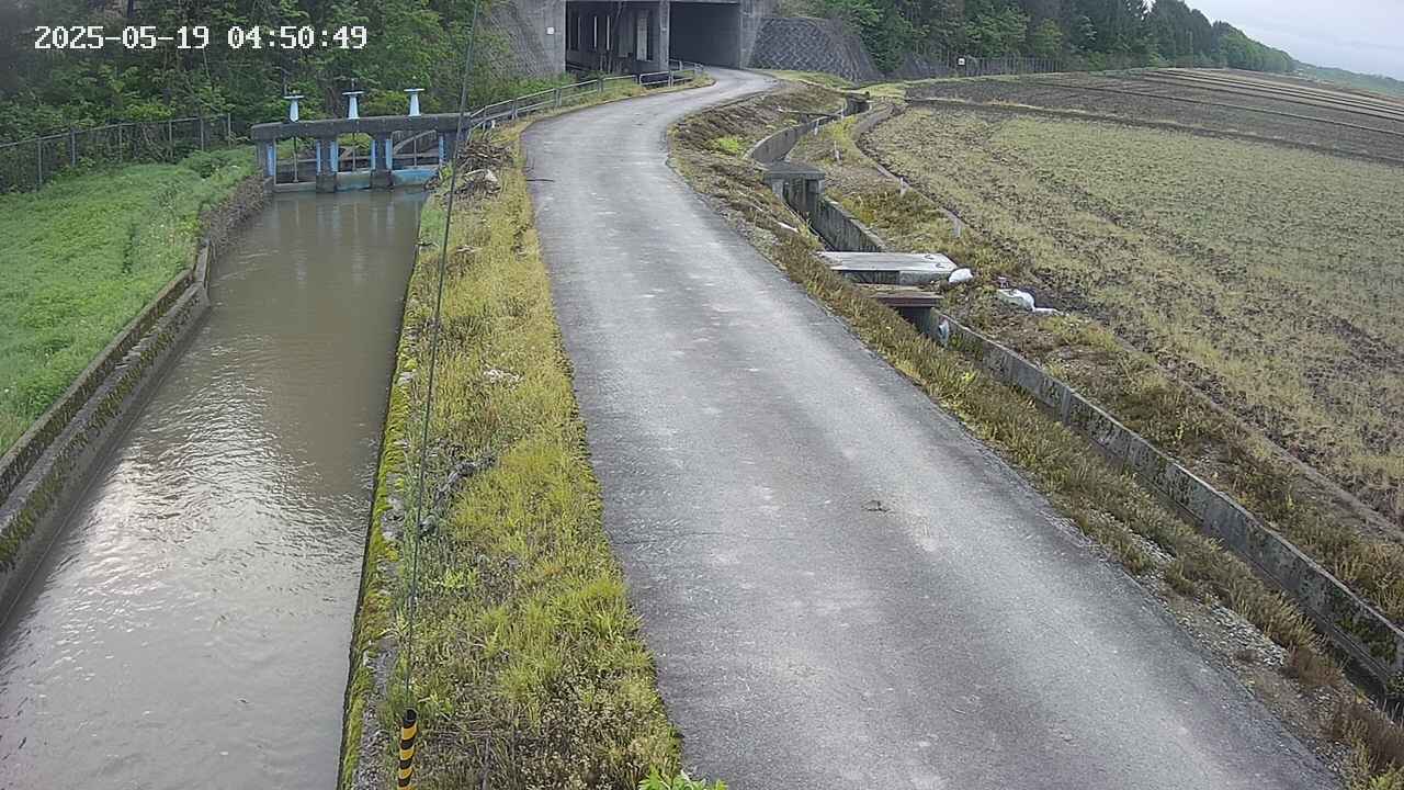 area11-20250519045050.jpg