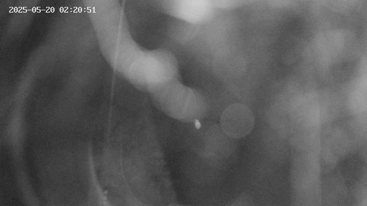 area11-20250520022053.jpg