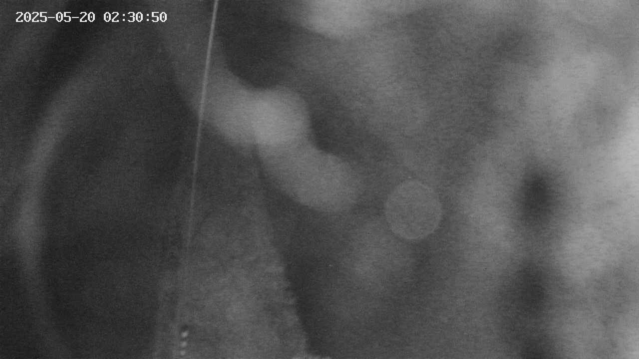 area11-20250520023051.jpg