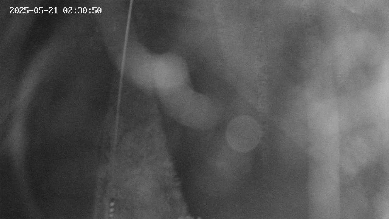 area11-20250521023051.jpg
