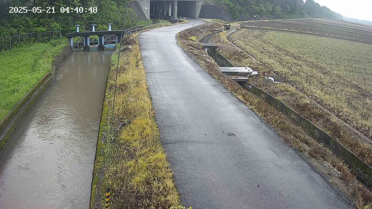 area11-20250521044050.jpg