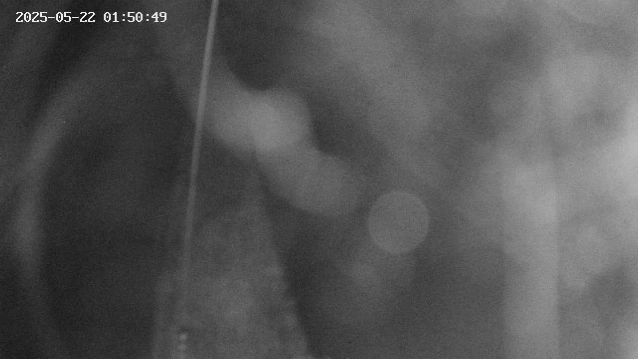 area11-20250522015050.jpg