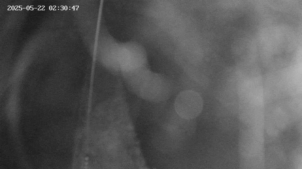 area11-20250522023049.jpg