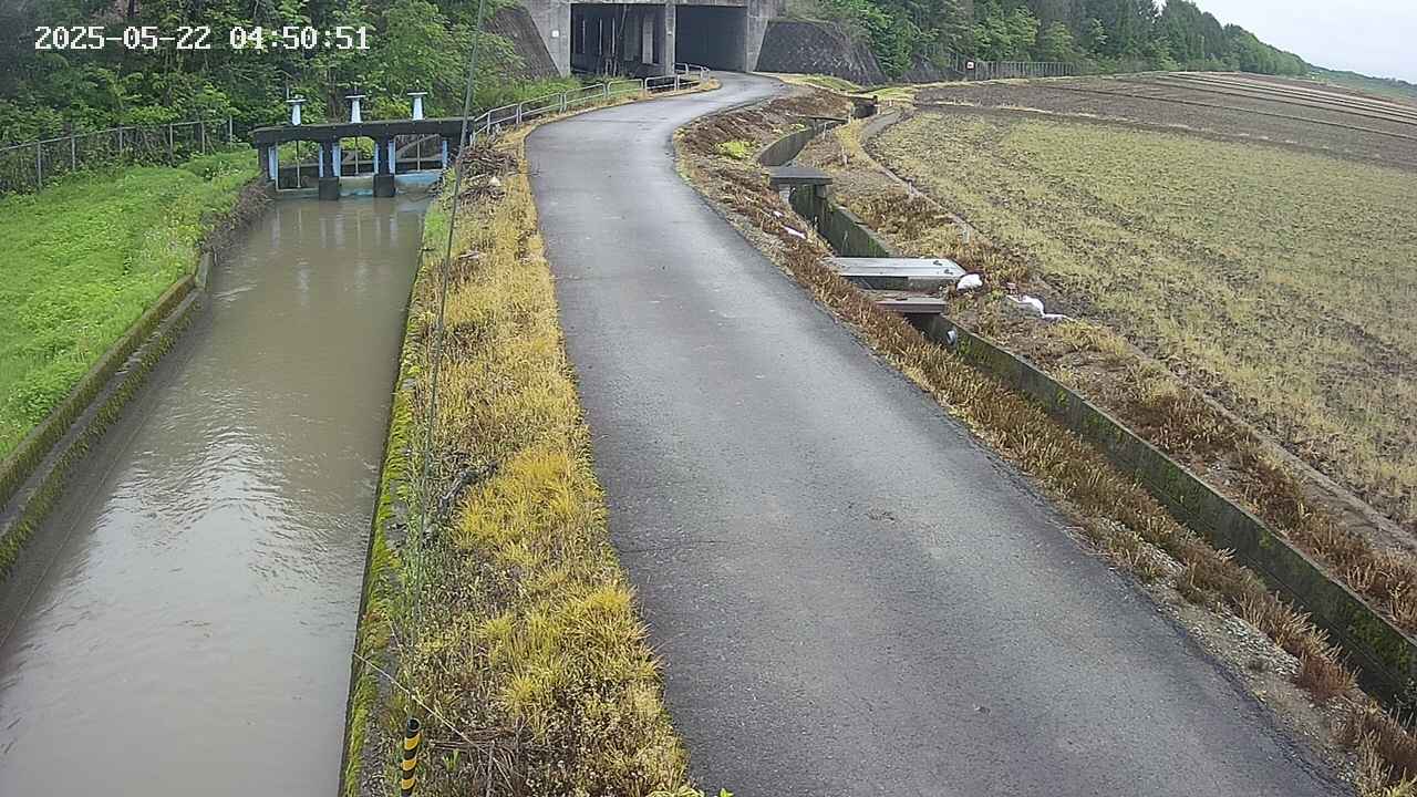 area11-20250522045053.jpg