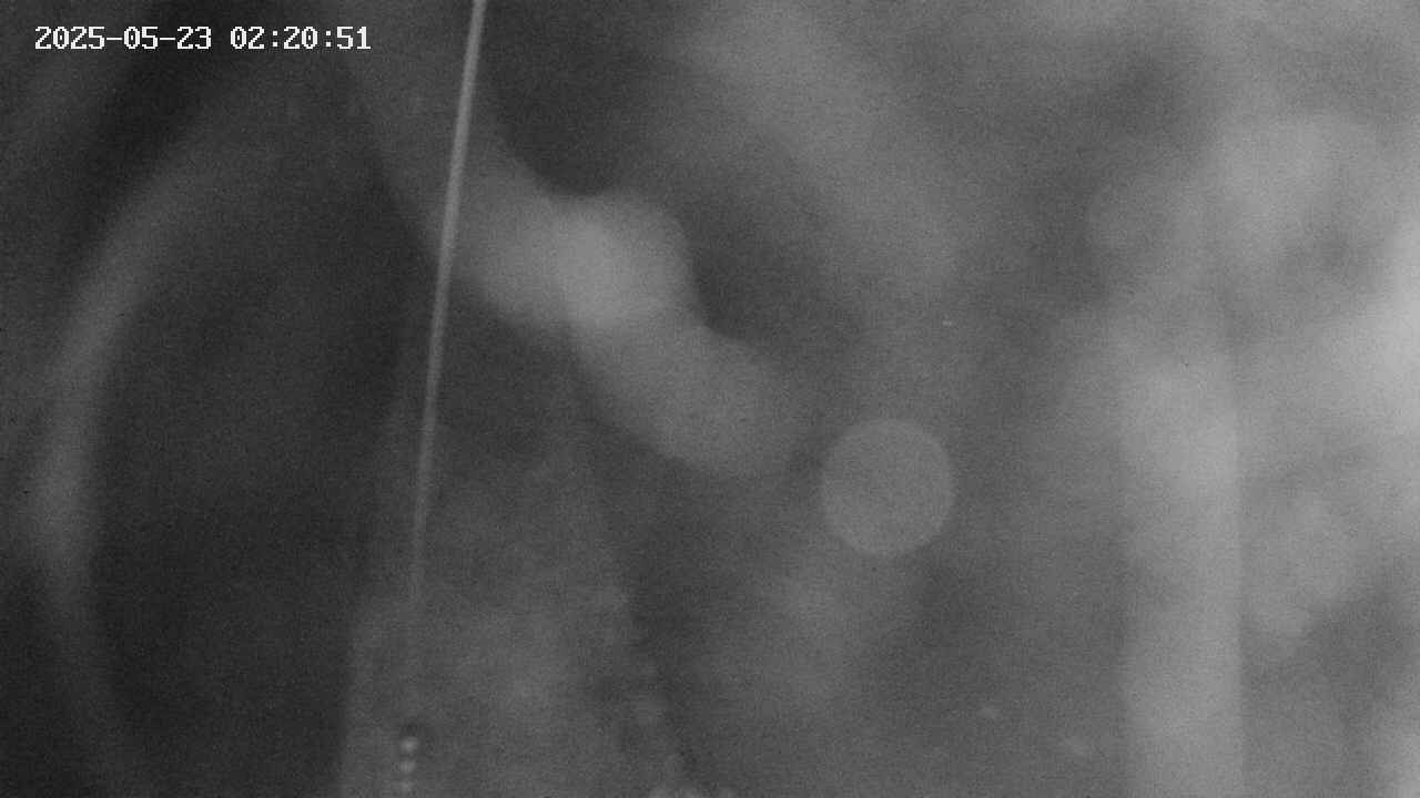 area11-20250523022052.jpg