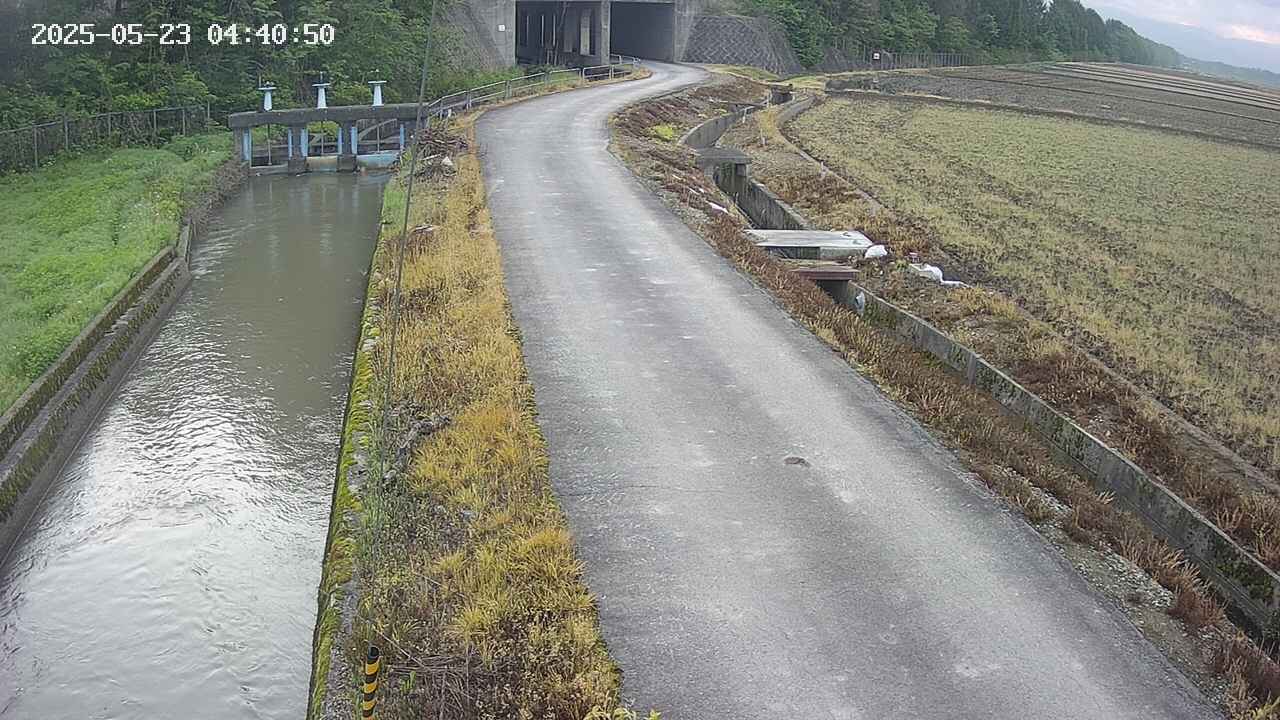 area11-20250523044051.jpg
