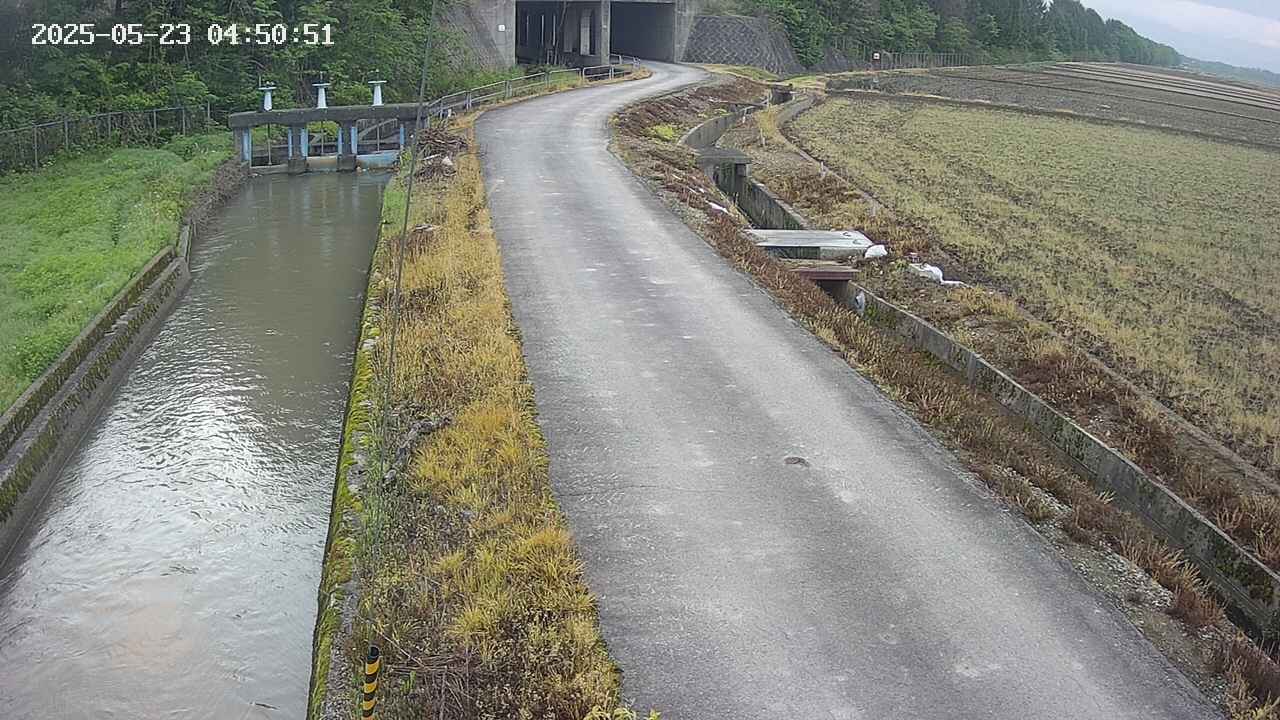 area11-20250523045053.jpg