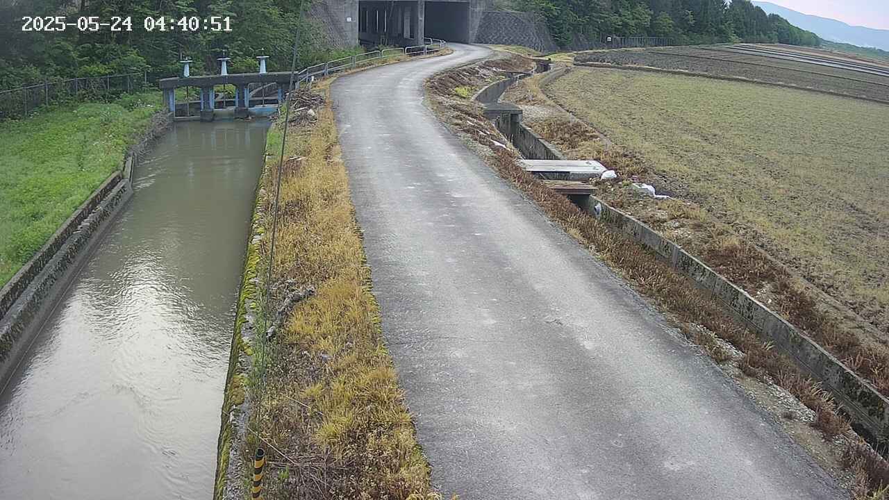 area11-20250524044052.jpg