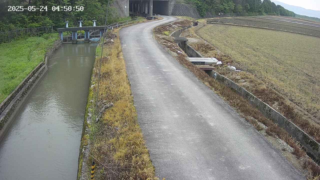 area11-20250524045052.jpg