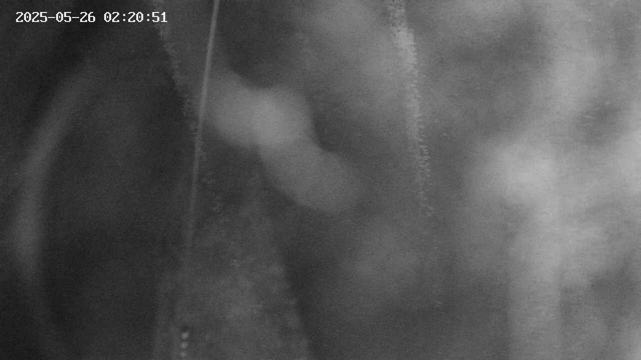 area11-20250526022052.jpg